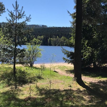 Rodinne Ubytovani Krauskopfovi Lipno nad Vltavou Buitenkant foto