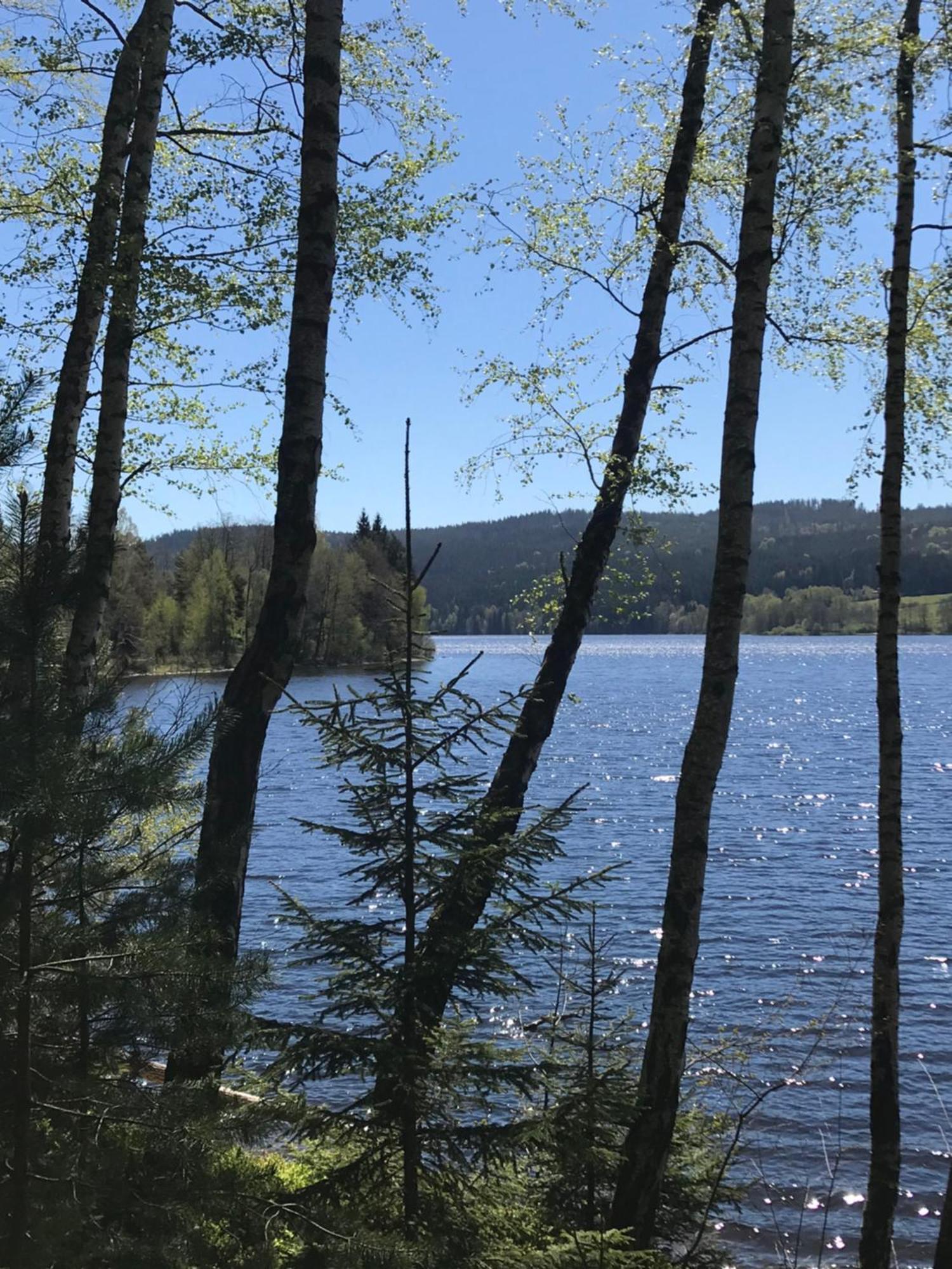 Rodinne Ubytovani Krauskopfovi Lipno nad Vltavou Buitenkant foto